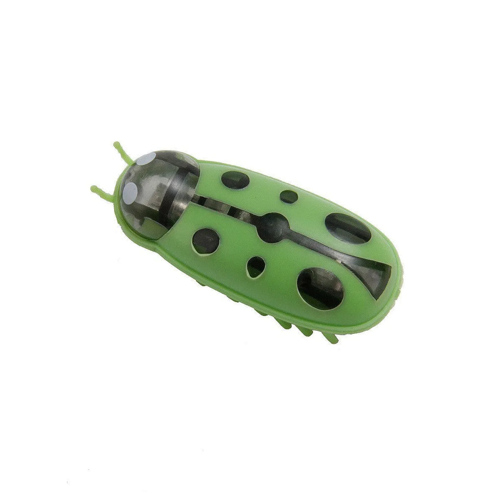 Mini electric bug cat toy showing ladybird beetle shape with angular legs