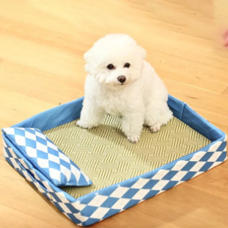 Natural rattan cat litter mat with anti-slip base, shown in blue, serving as a pet bed
