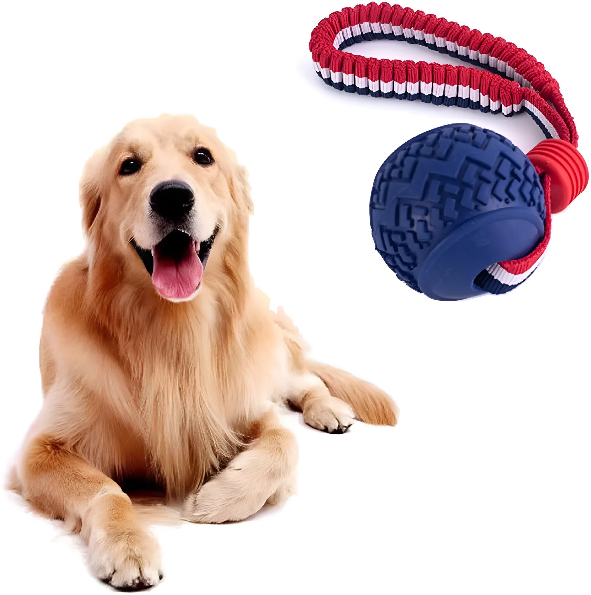 Blue rubber dog ball with attached rope toy measuring 6.5cm diameter