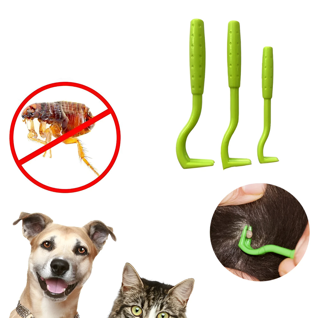 Three plastic pet tick removal hooks in blue or green colours for dog and cat grooming