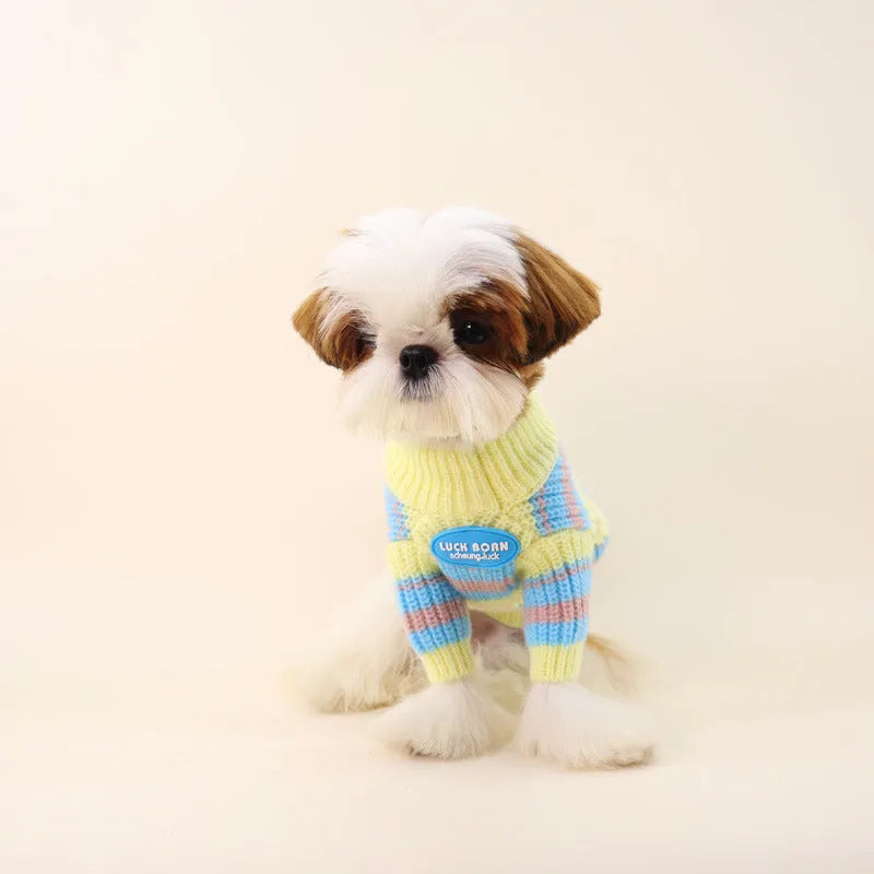 Blue and yellow striped wool dog sweater for small breeds like Maltese and Bichon in sizes XS to XXL