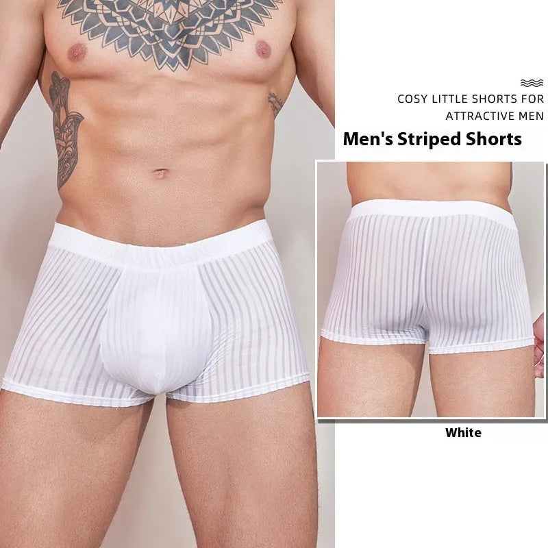 Men's striped transparent underwear in black, white and dark grey colours showing thin nylon fabric