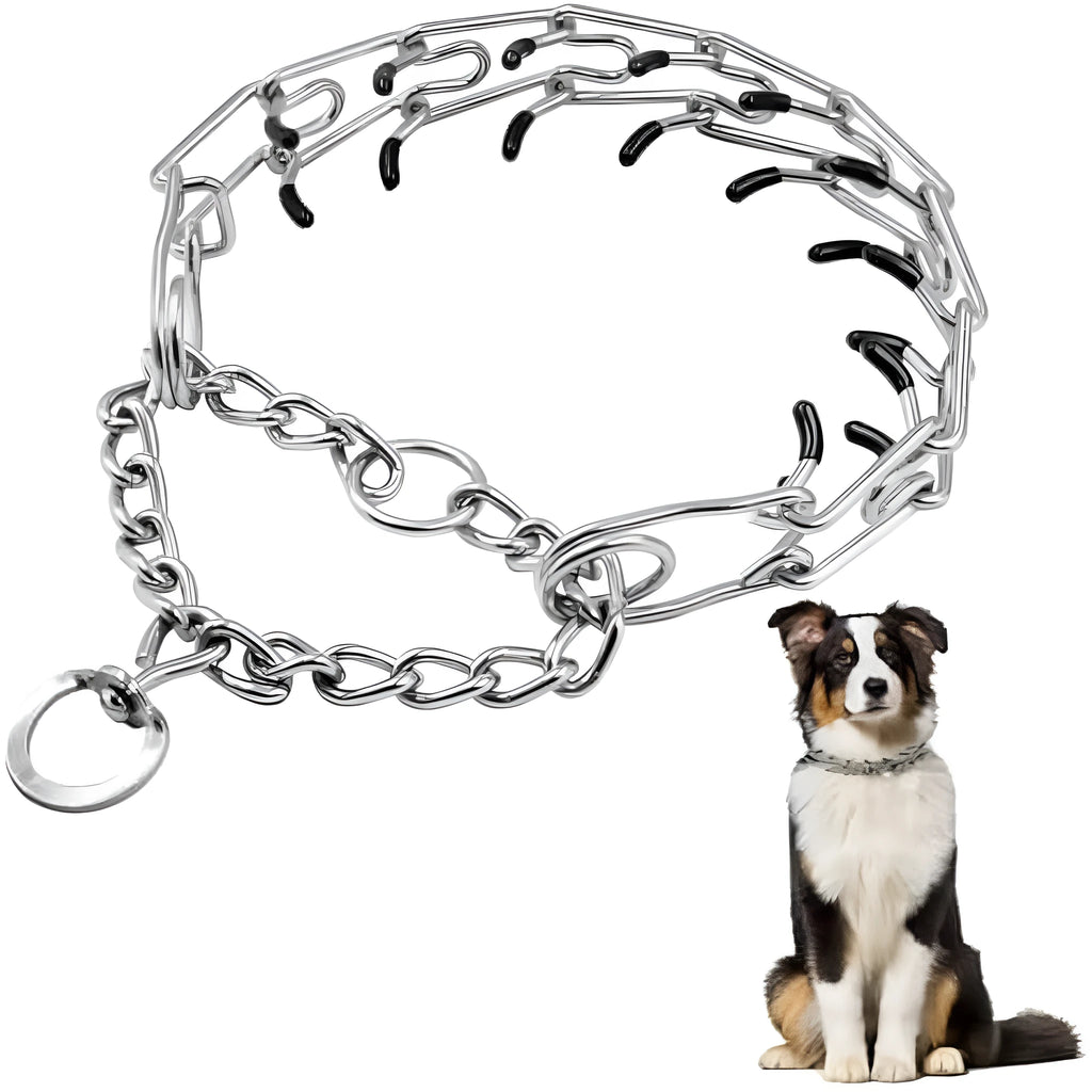 Stainless steel dog training pinch collar with rubber-tipped prongs and adjustable chain links