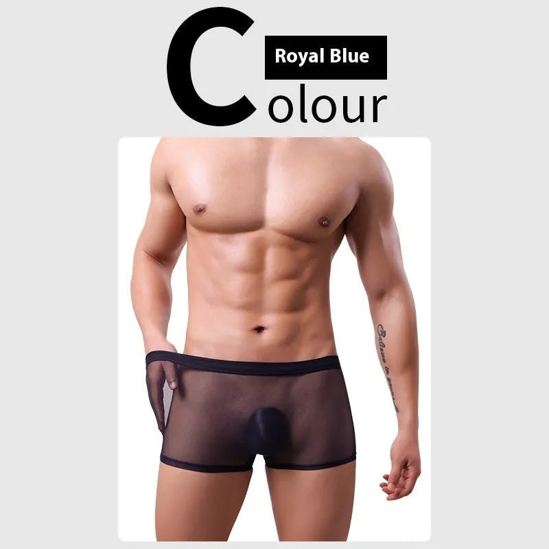 Men's mesh boxer briefs in thin sheer polyester fabric with low waist design for summer wear