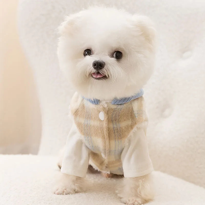 Blue corduroy dog vest with a chessboard grid pattern and an attached yellow hood.