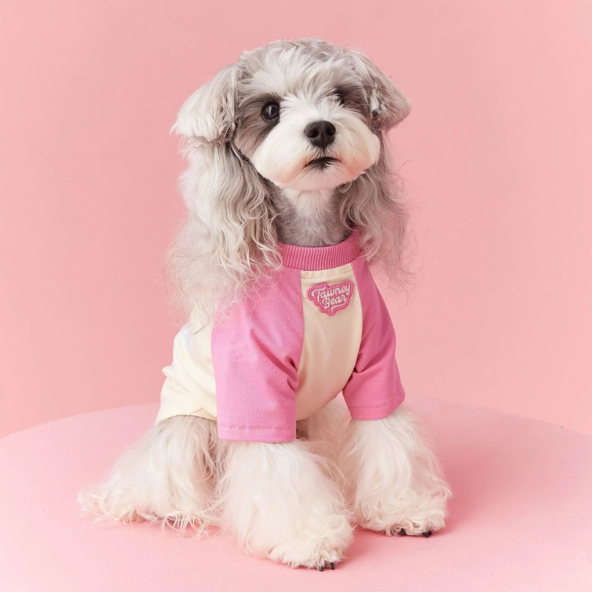 Cotton summer dog clothing with contrasting embroidery in sizes XS to XXL