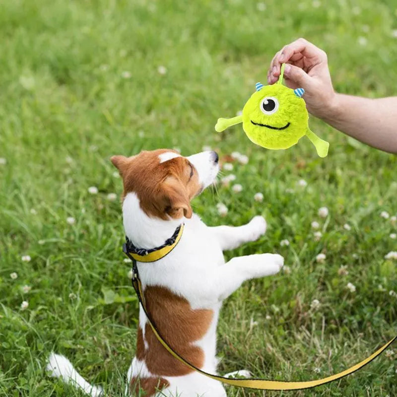 Green plush and TPR dog toy ball with sound interactive feature for teething puppies.
