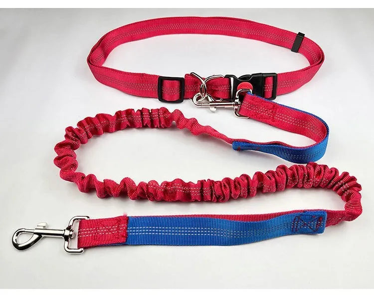 2.5cm wide outdoor running dog leash with night reflective sling in grey and green colour combination