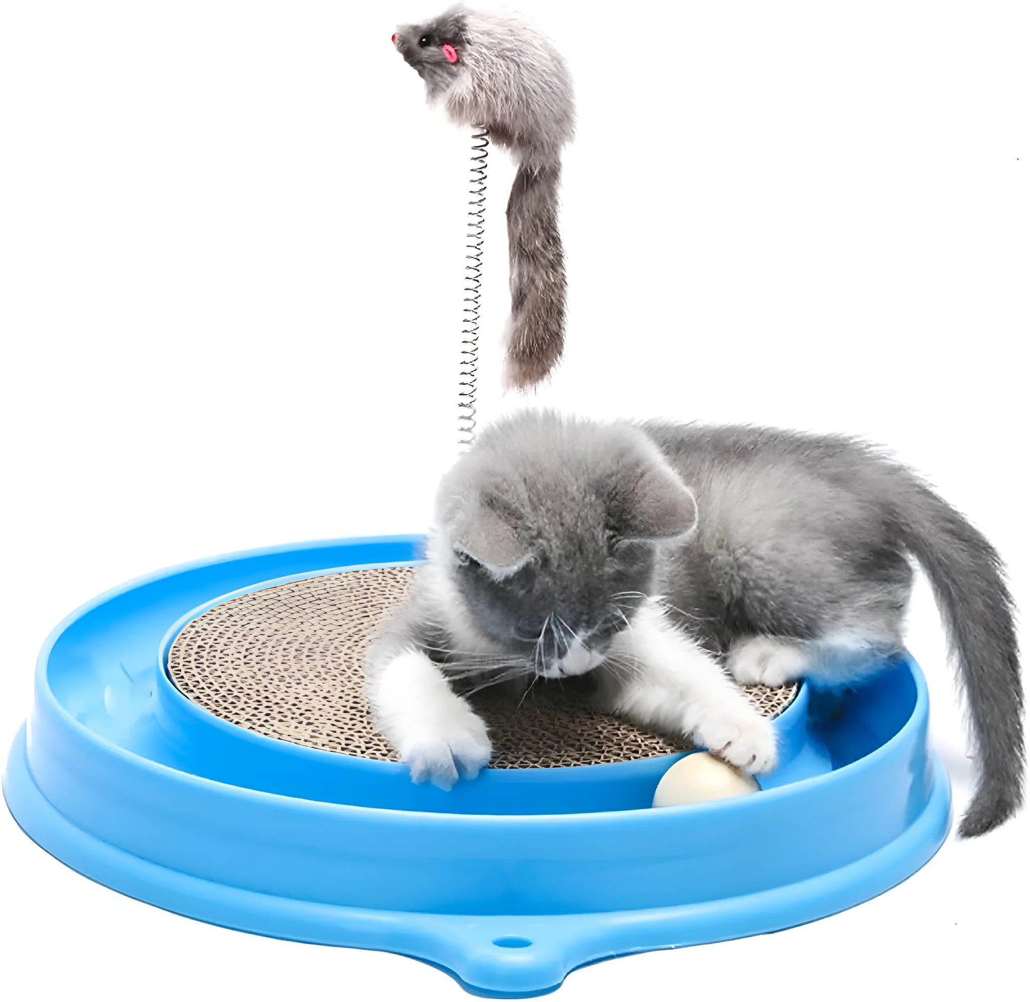 Circular cat scratching toy with ball track and textured centre pad in blue colour