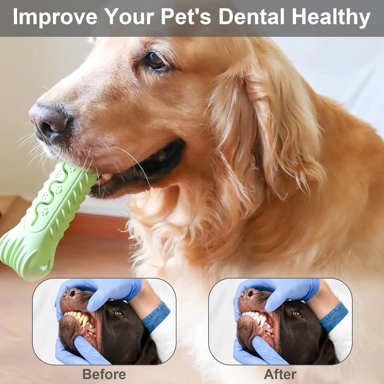 Natural rubber bone-shaped dog chew toy for aggressive chewers in blue, green and orange colours