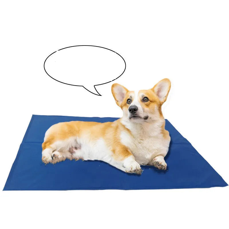 Blue plastic cooling pet nest for cats and dogs, antibacterial and easy to clean, five sizes