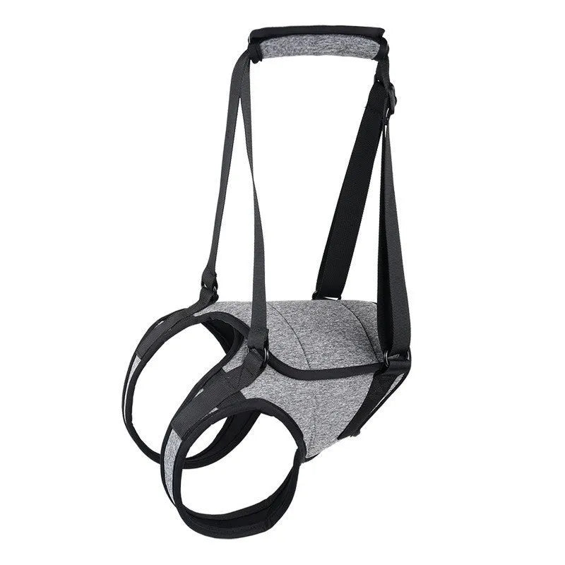 Grey neoprene recovery belt for dog rear leg support showing adjustable sizing