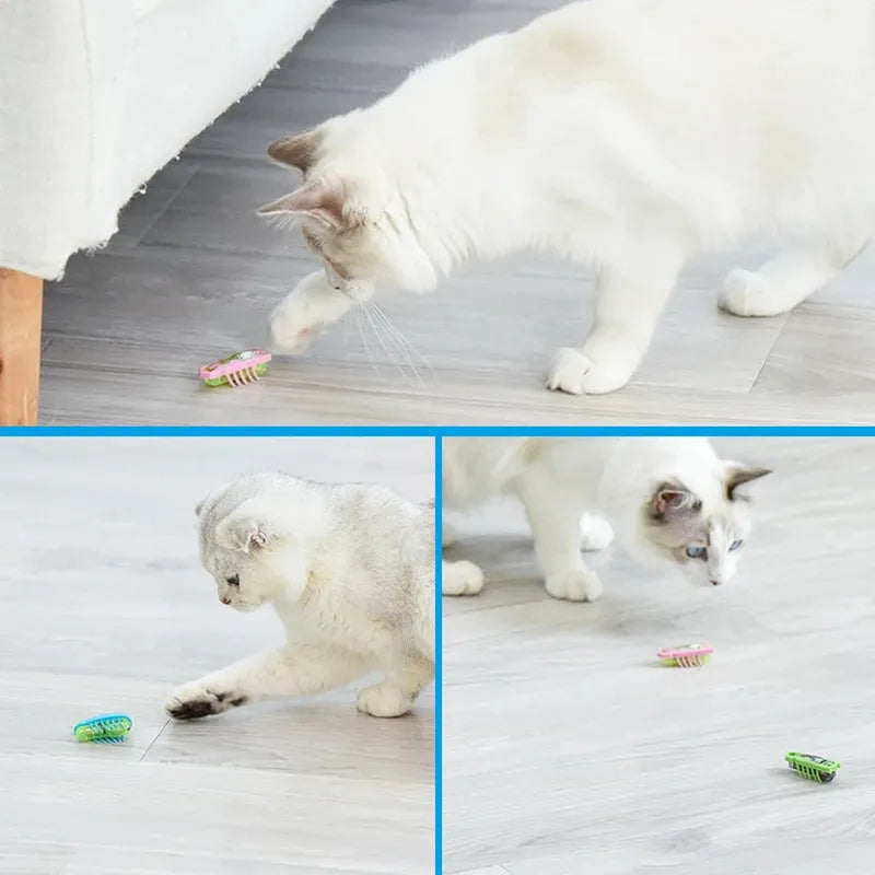 Mini electric bug cat toy showing ladybird beetle shape with angular legs