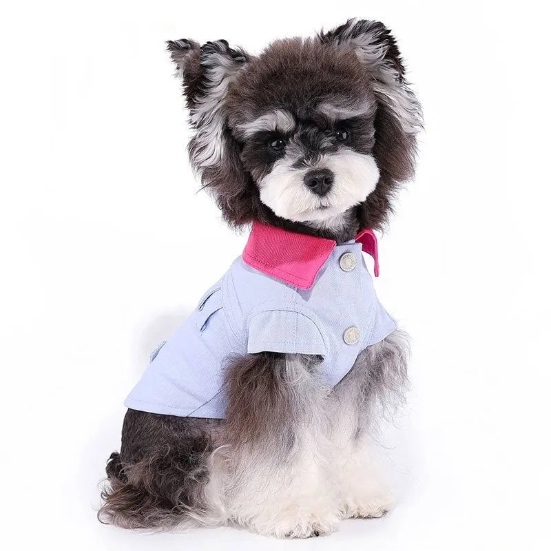 Blue and purple polyester dog vest with integrated traction rope ring for small dogs