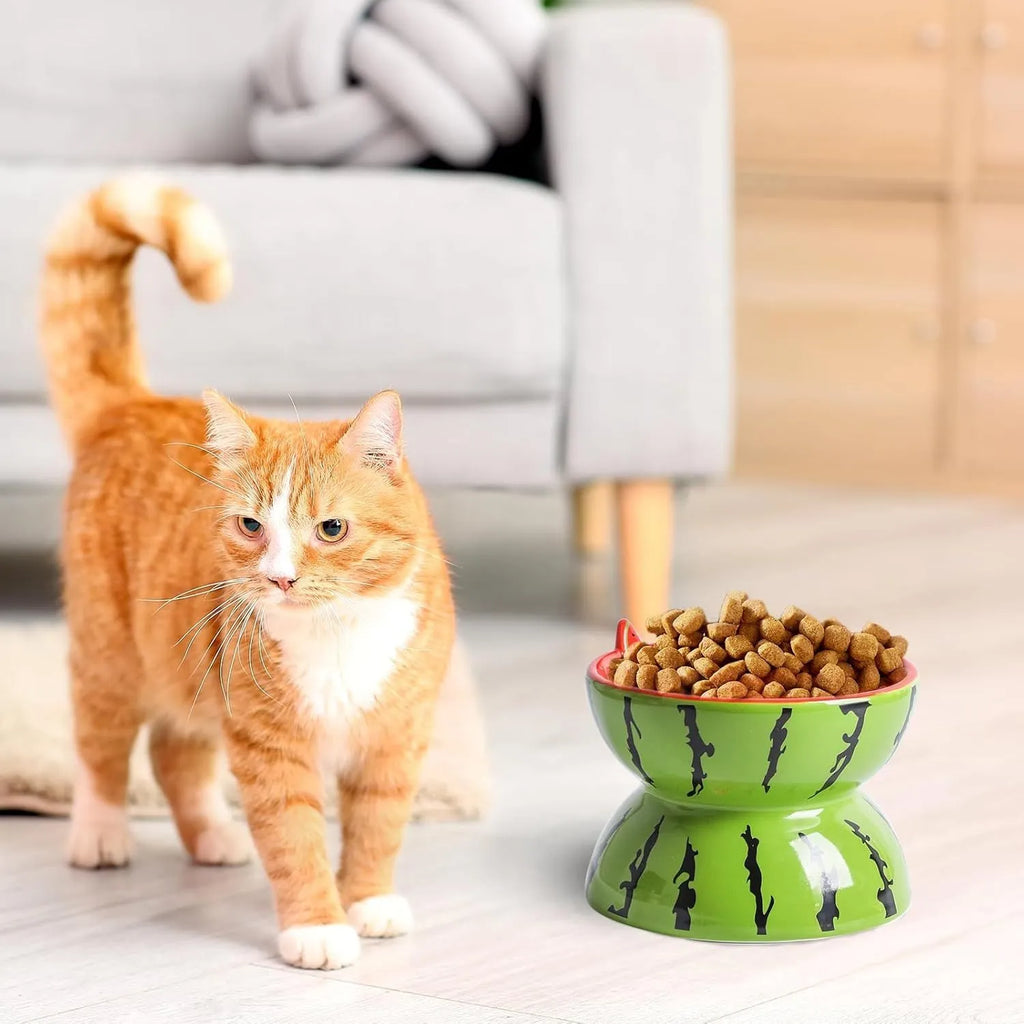 Ceramic elevated cat bowl in orange colour with tilted wide dish design.
