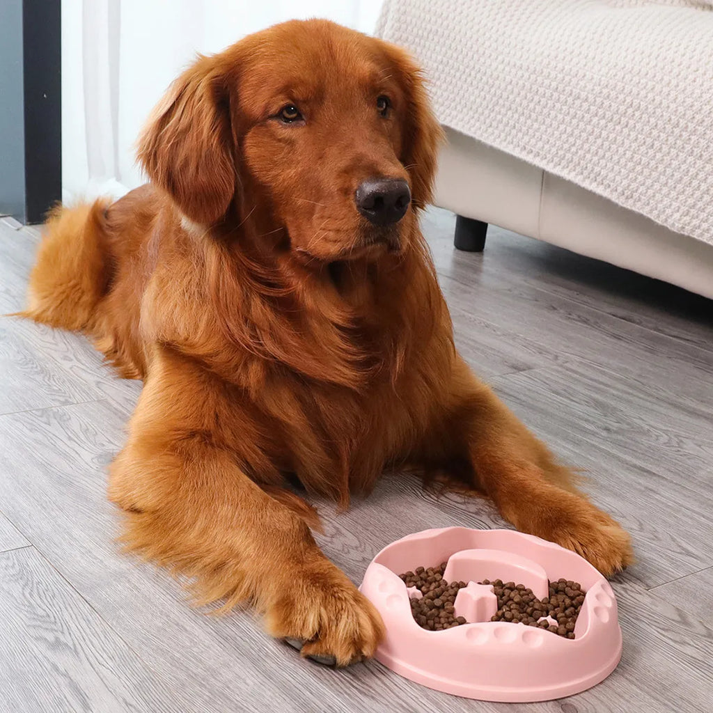 Moon star wings design slow feeder dog bowl for large dogs in blue, shown on a floor