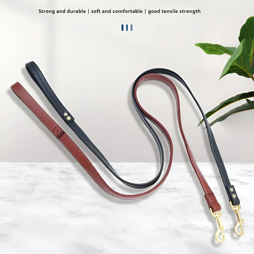 Roran black PU leather dog lead with metal clip attached to a dog collar.