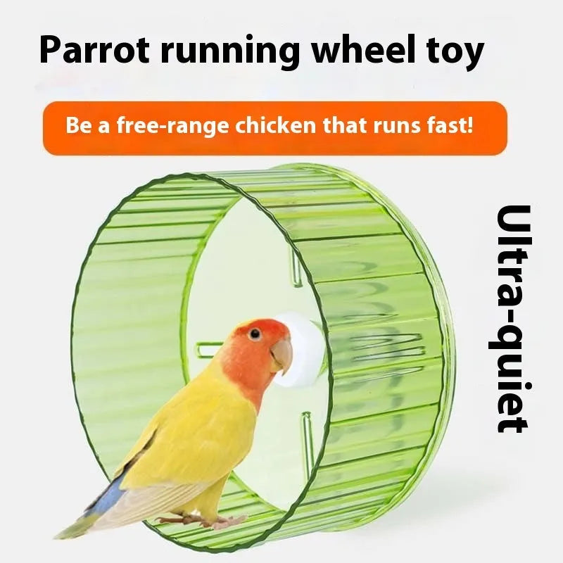 Parrot wheel running toy for birds in transparent plastic with rotating mechanism