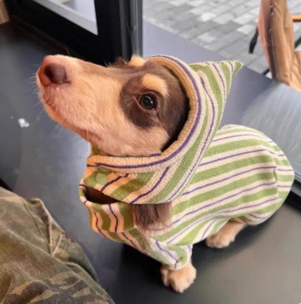 Green bubble cotton sleeveless dog vest for autumn and winter, sizes S to 2XL, with separate hat option