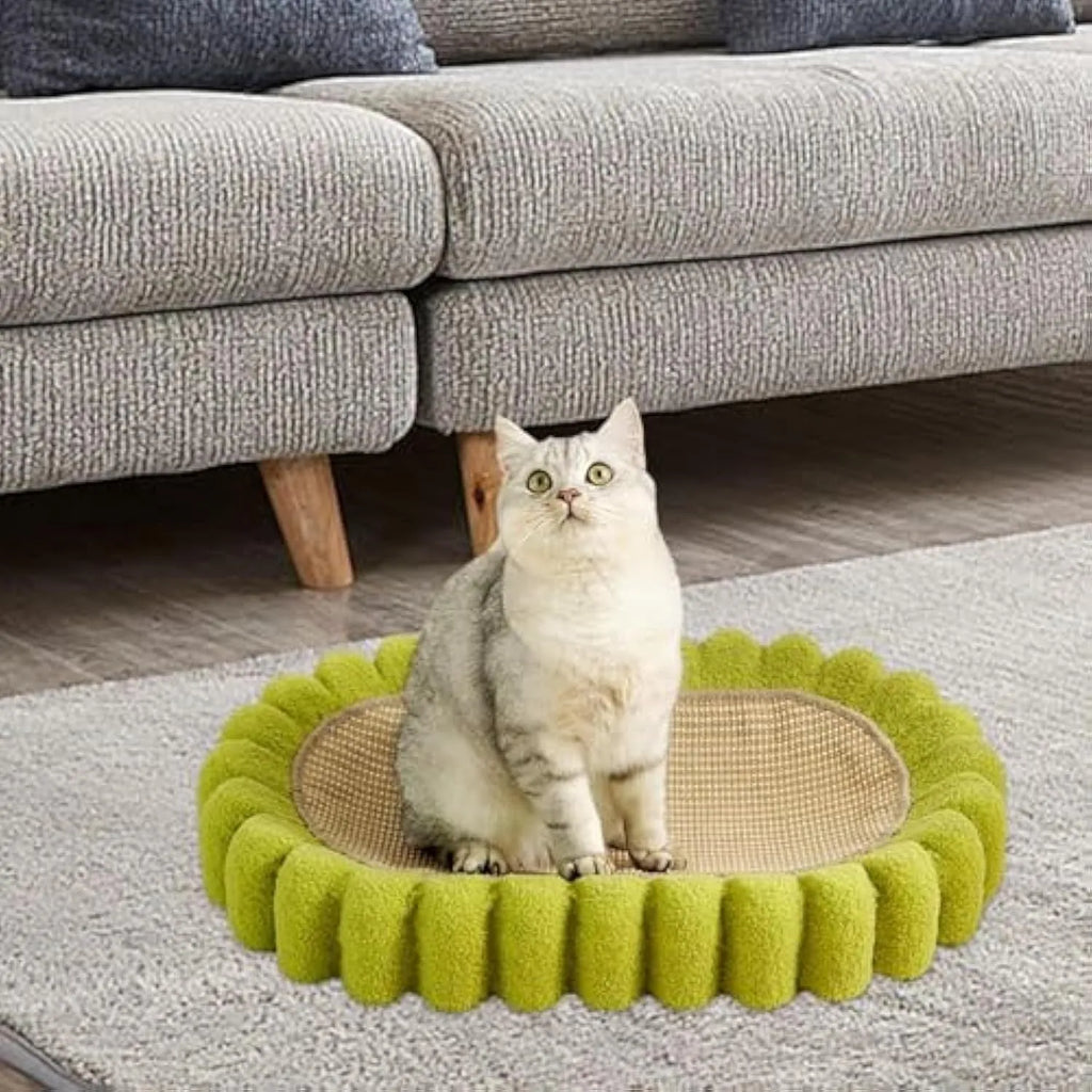Green oval sisal cat scratch pad bowl measuring 650mm functioning as cat scratcher and bed