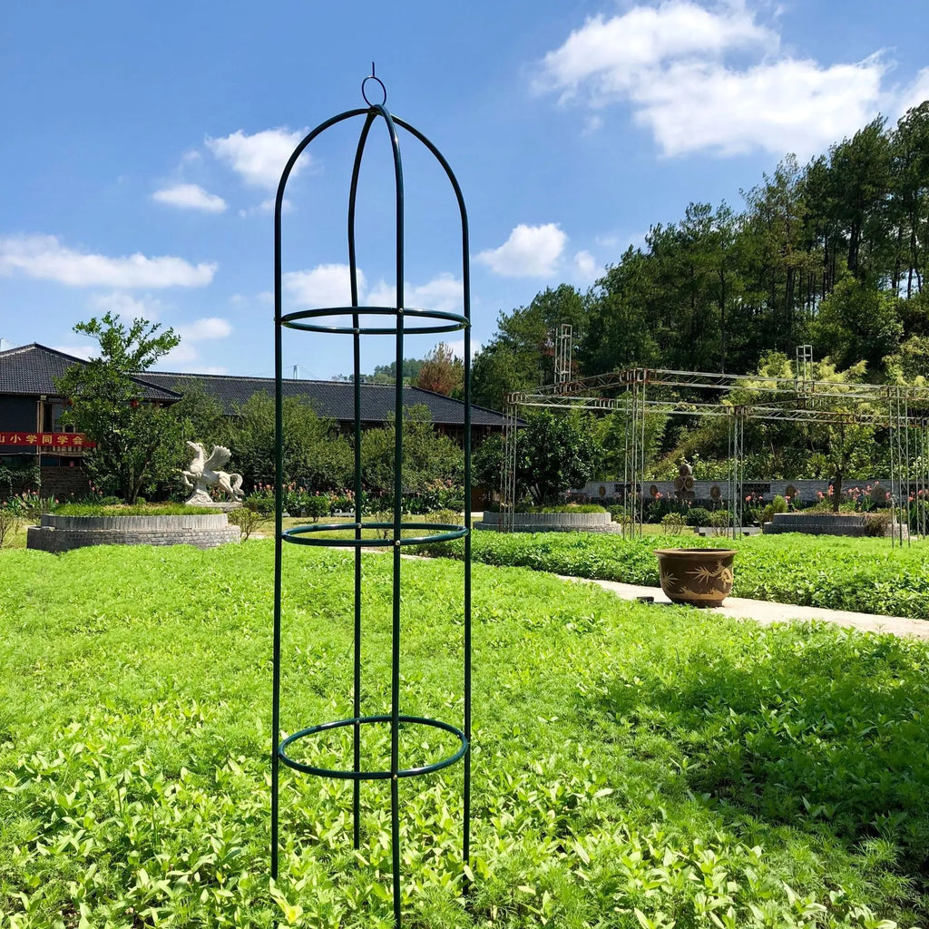 Dark green wrought iron plant climbing frame lattice standing on floor next to potted vine.