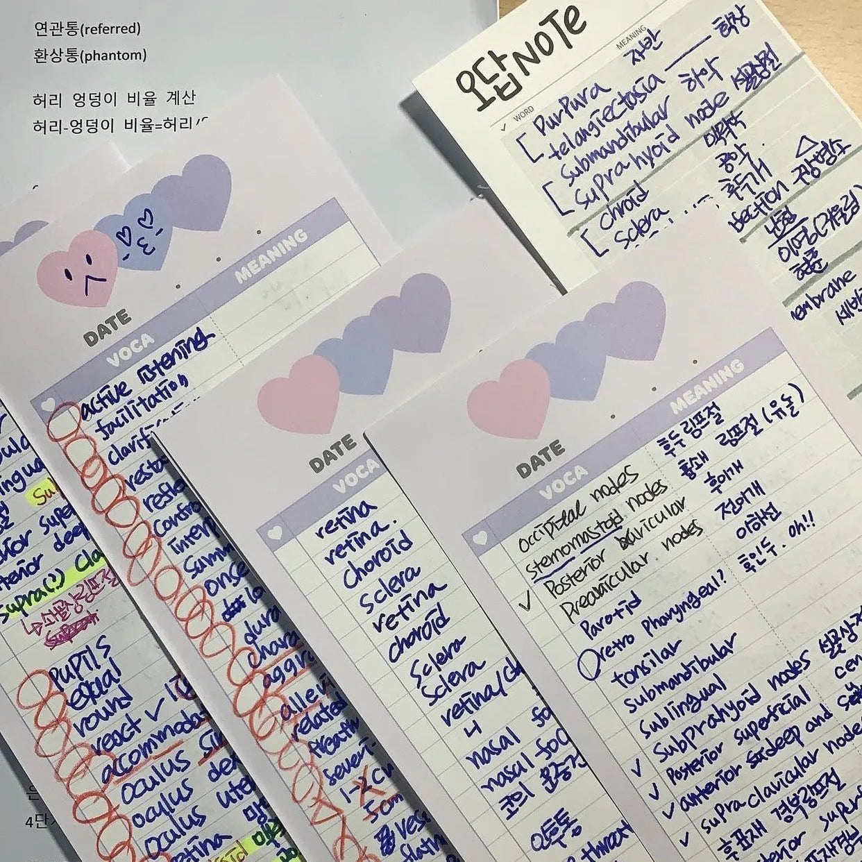 English words notepad with double-sided printing, half B5 size 9.1x25.7cm with pink cover