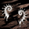 Matte finish alloy conch stud earrings with three-dimensional design and irregular shape
