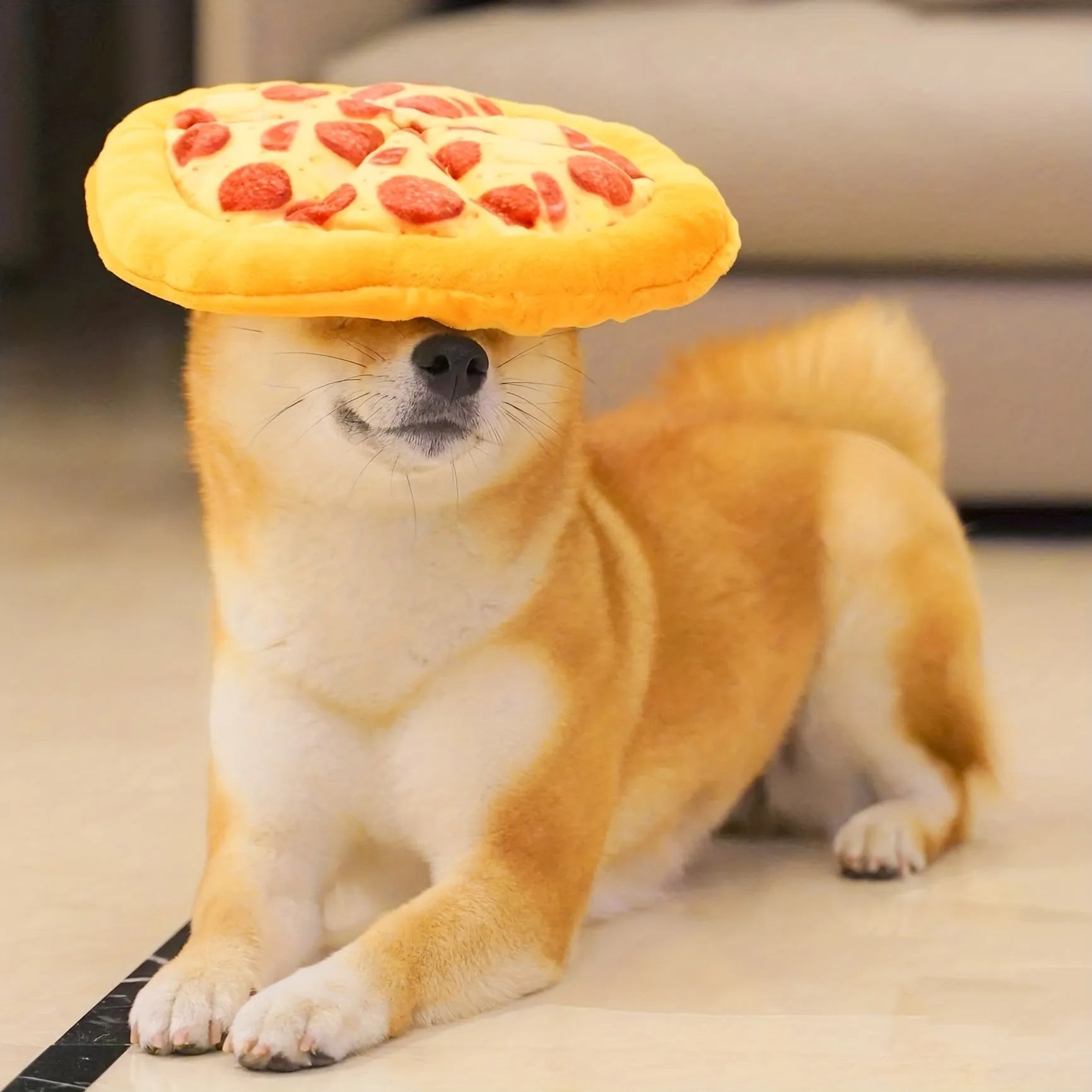 Yellow teddy pizza slice dog chew toy with textured surface and squeaker, 17 cm long.
