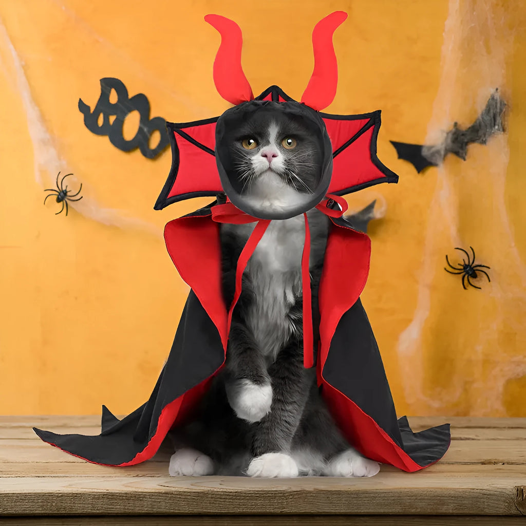 Black polyester vampire cloak and hat costume for pets on Halloween