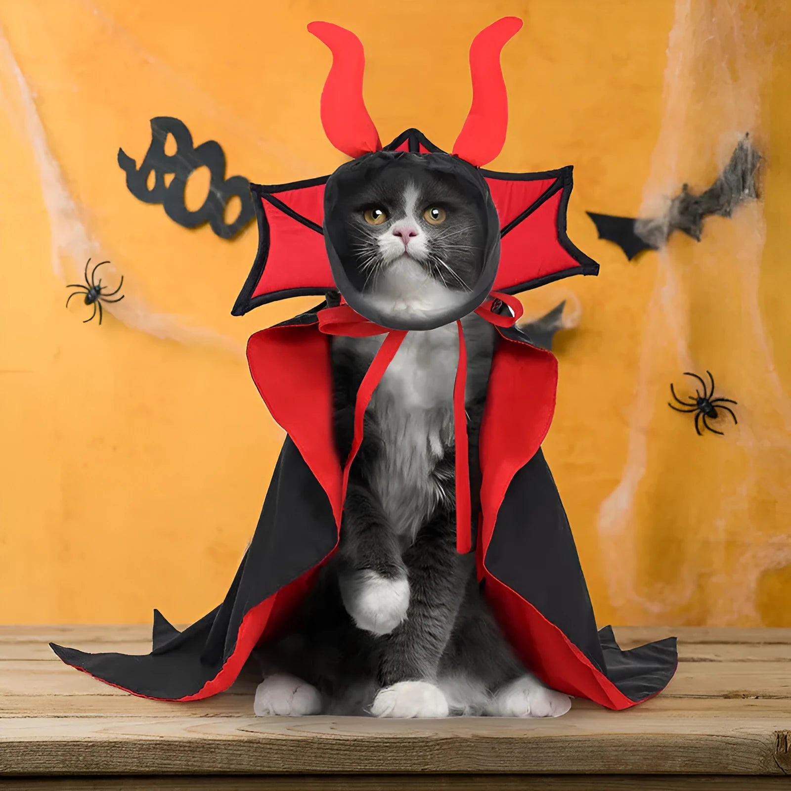 Black polyester vampire cloak and hat costume for pets on Halloween