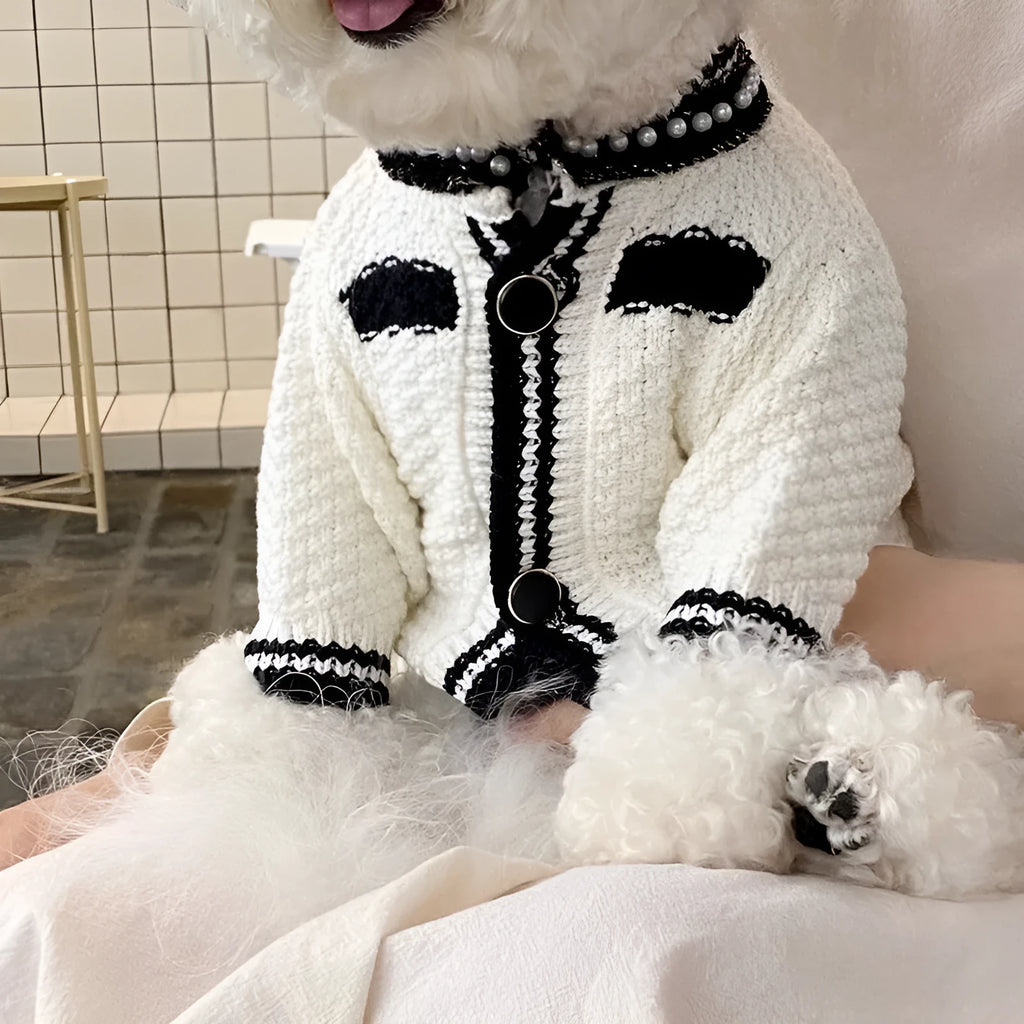 Korean style white pearl collar dog sweater on small dog showing princess design
