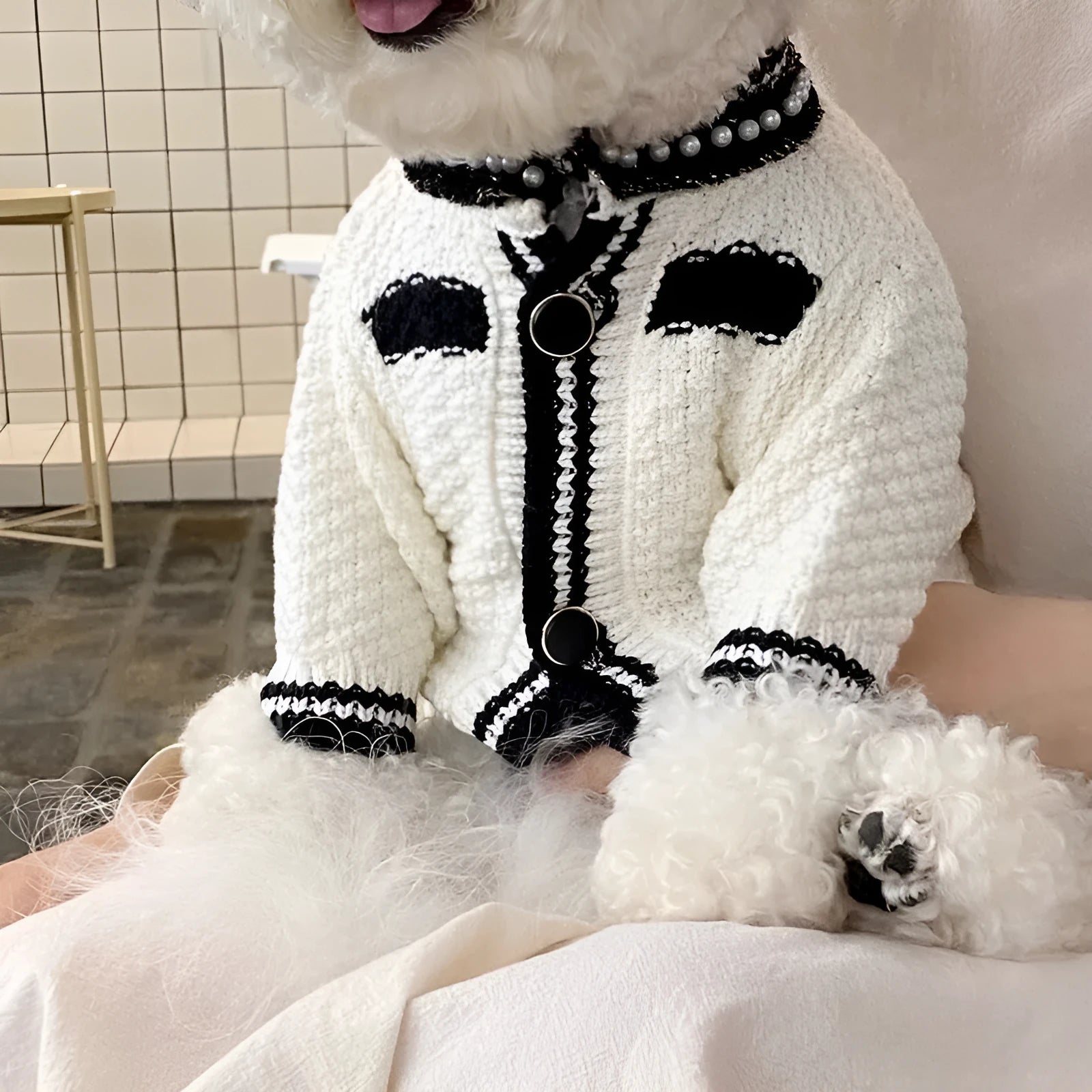 Korean style white pearl collar dog sweater on small dog showing princess design