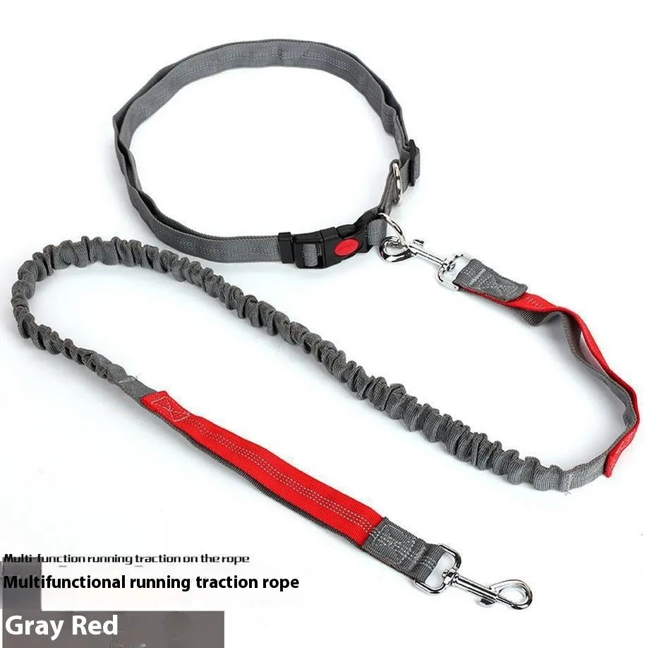 2.5cm wide outdoor running dog leash with night reflective sling in grey and green colour combination
