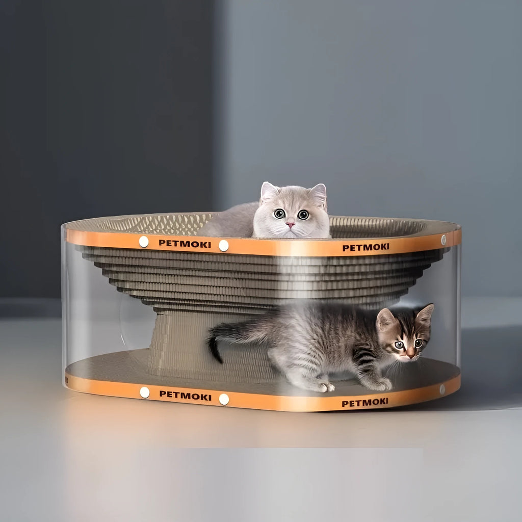 White transparent diamond pattern cat scratch board and nest tunnel toy, 58x45x23cm