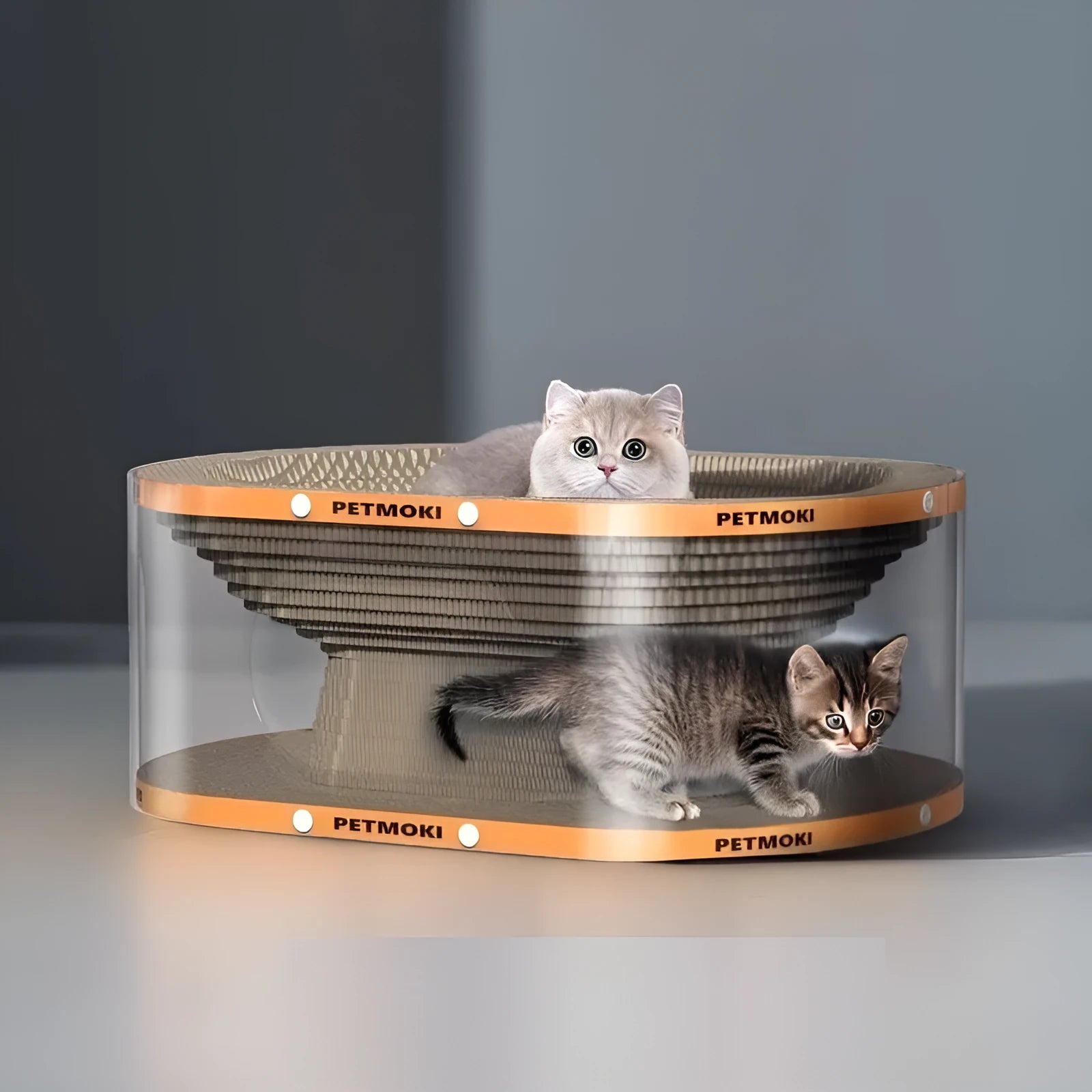 White transparent diamond pattern cat scratch board and nest tunnel toy, 58x45x23cm
