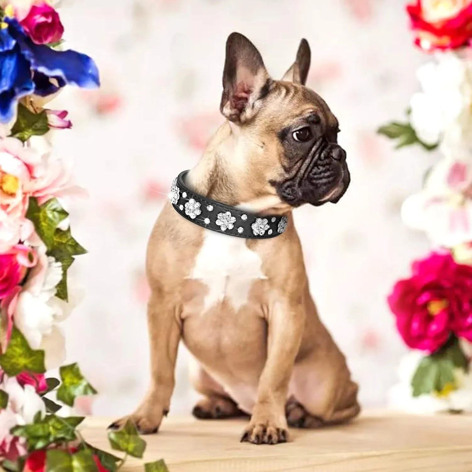 Black dog collar with studded rhinestone flower pattern and a metal D-ring on a white background
