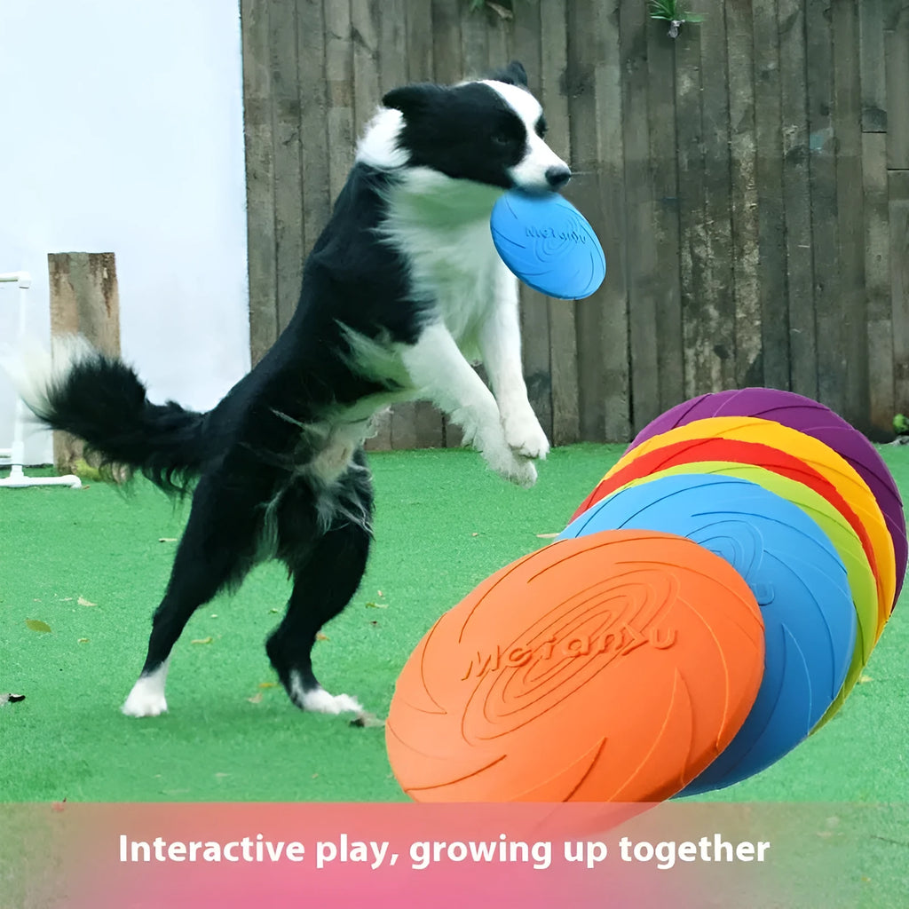 Soft rubber dog frisbee flying disc toy in red, blue, and green colour options