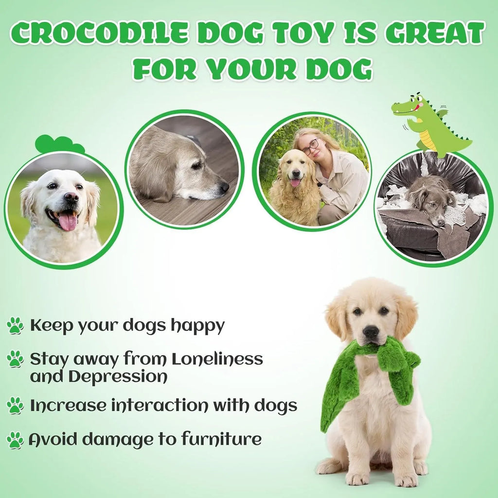 Dark green plush crocodile dog toy with squeaker for aggressive chewers measuring 20cm long