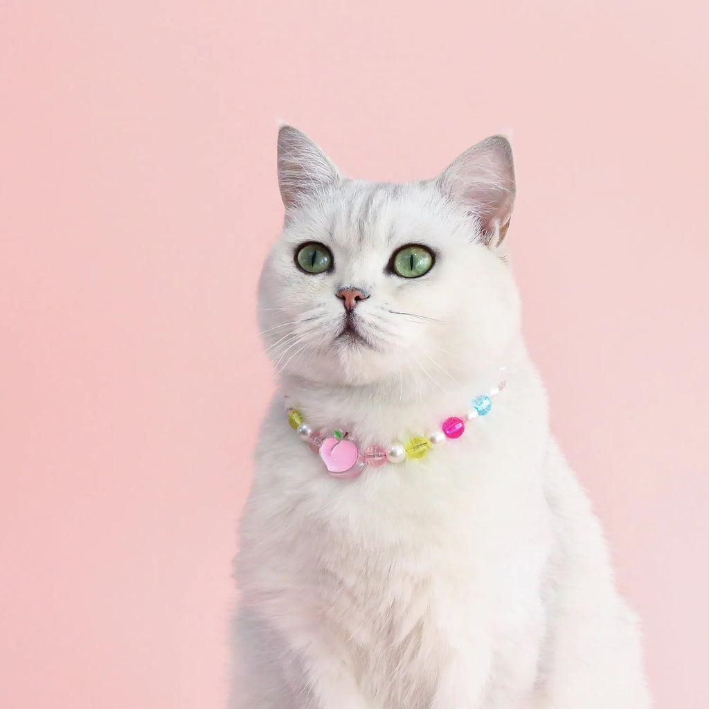 Colourful plastic pearl necklace for small dogs and cats with adjustable sizing